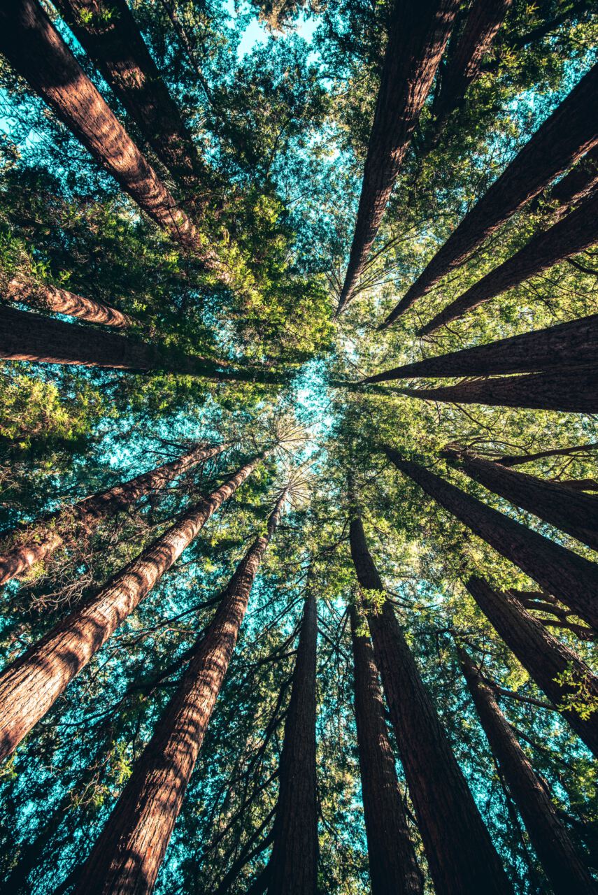 Individualität im Gemeinsamen Individualität im Gemeinsamen